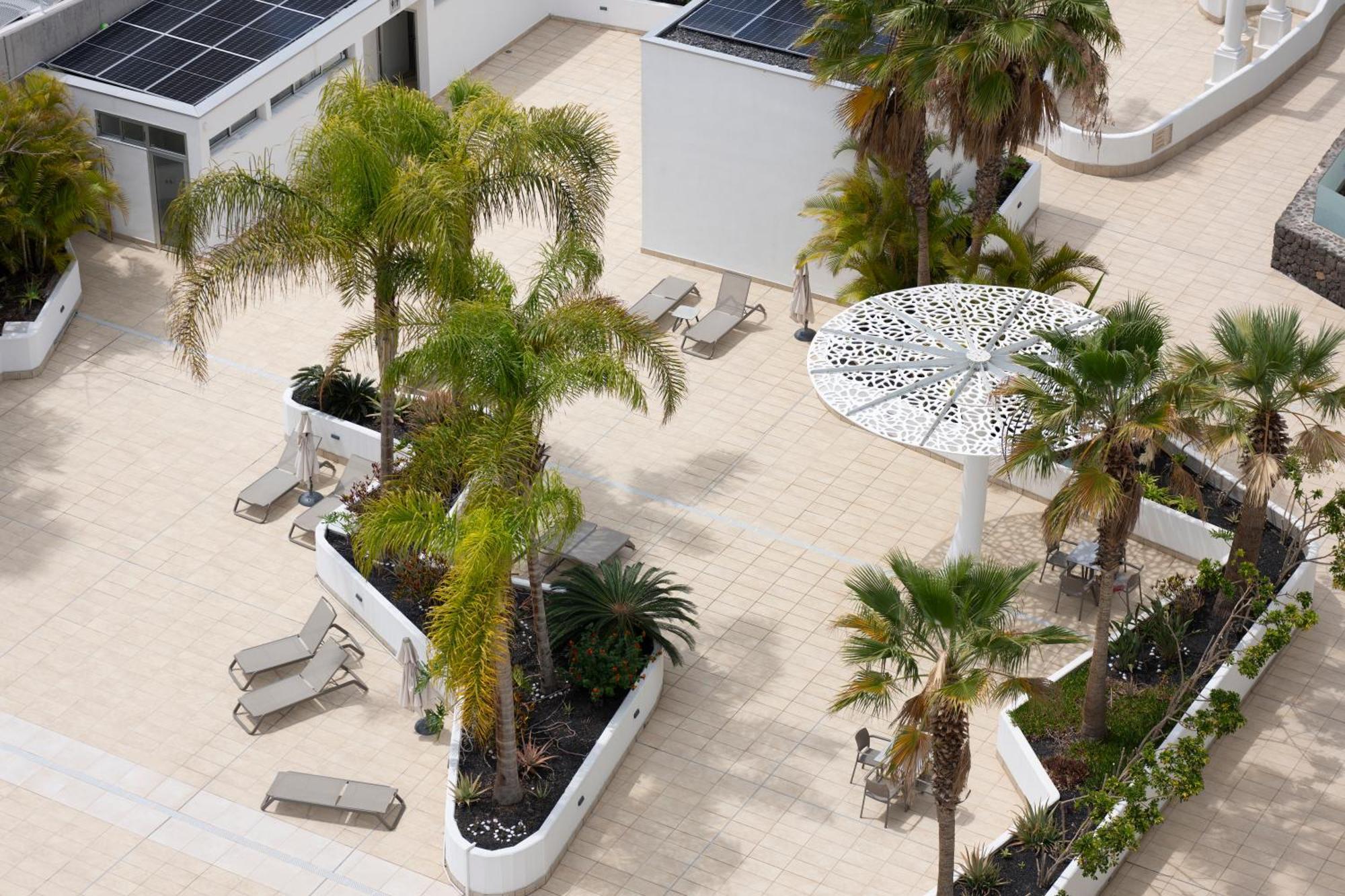 Elekagua Renting * Costa Adeje (Tenerife)